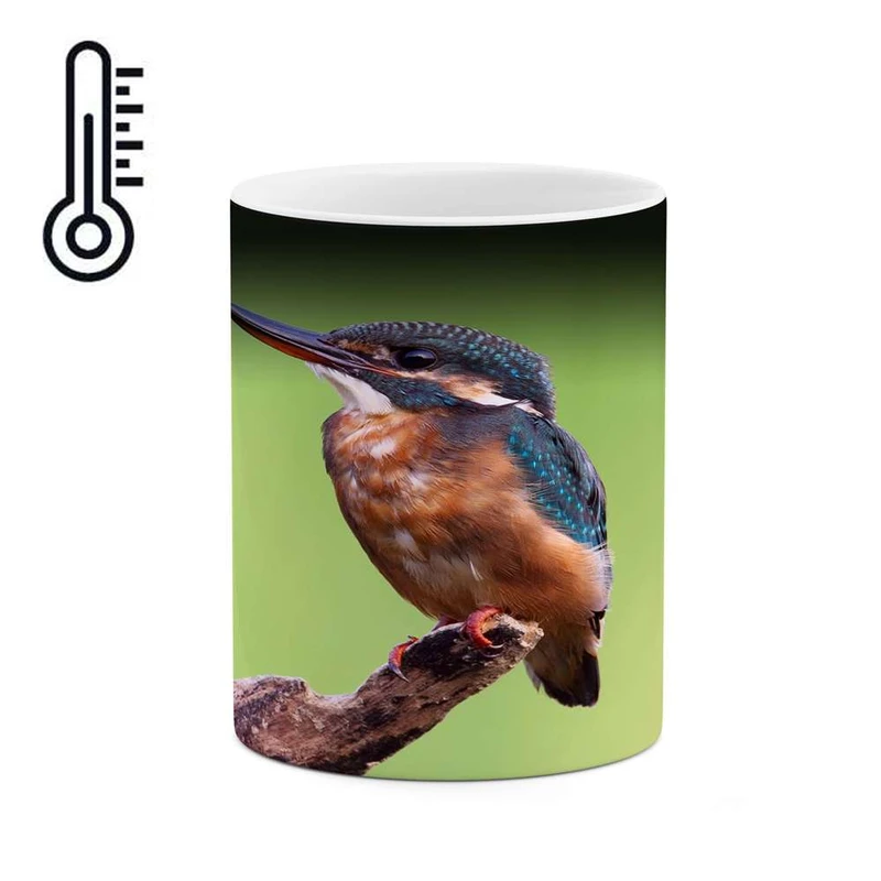 ماگ حرارتی کاکتی مدل پرنده کد mgh10897