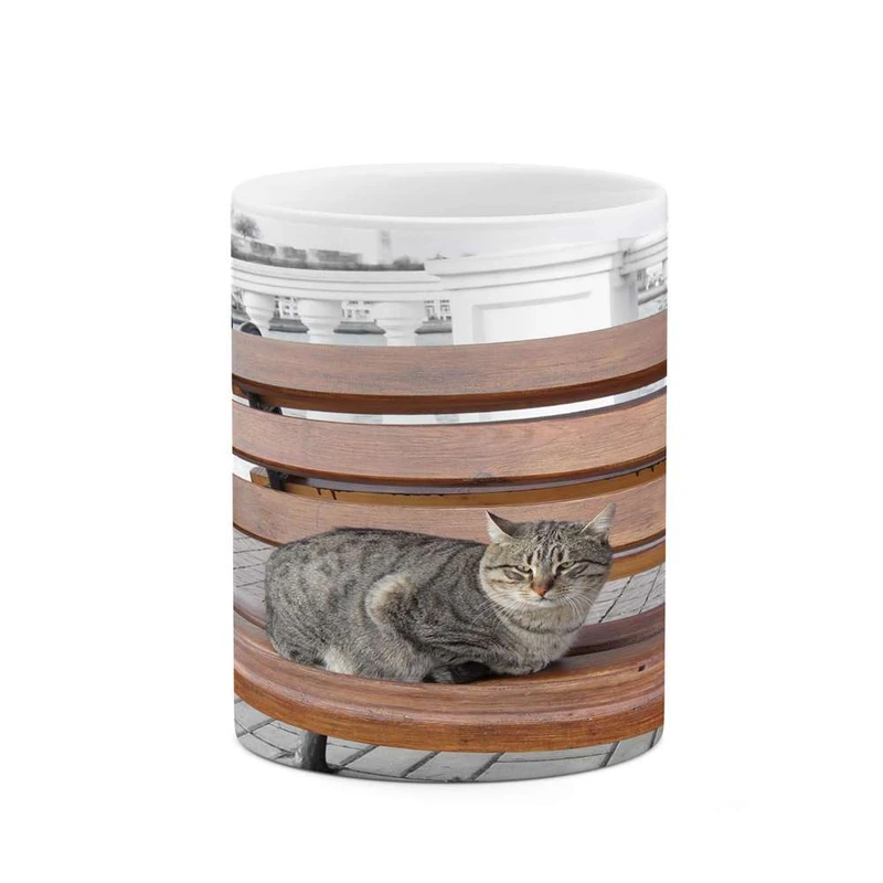 ماگ کاکتی مدل گربه کد mgh14771