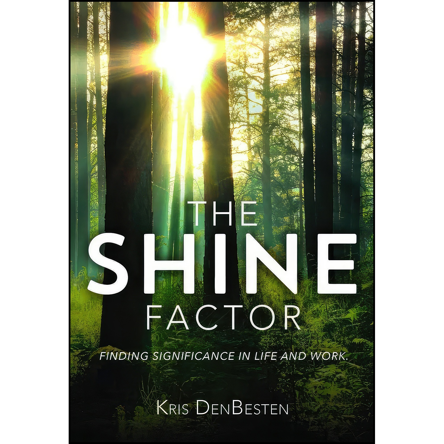 قیمت و خرید کتاب The Shine Factor اثر Kris DenBesten انتشارات ...