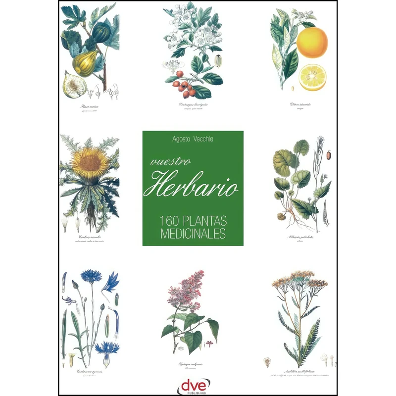 کتاب Vuestro herbario. 160 plantas medicinales  اثر Agosto Vecchio انتشارات تازه ها