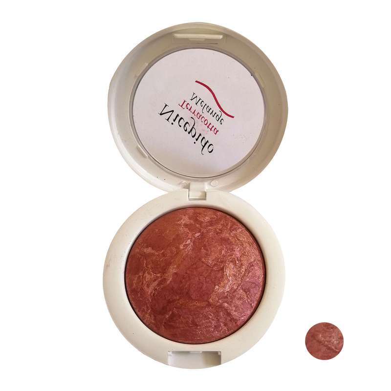 رژگونه تراکوتا نایسپیدو شماره 202