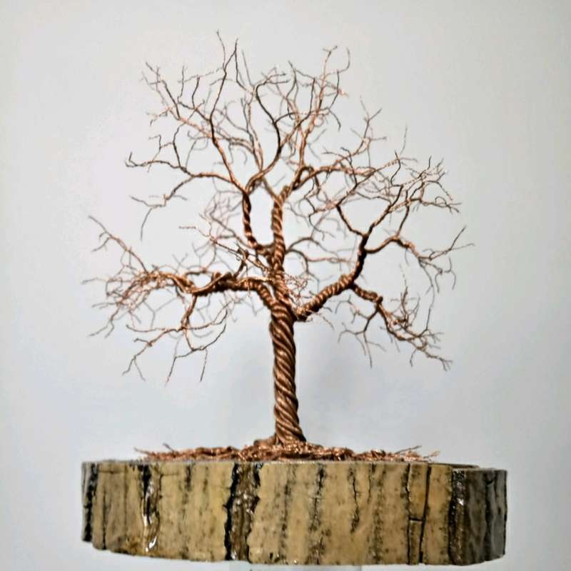 ماکت مدل درخت سیمی کد 104