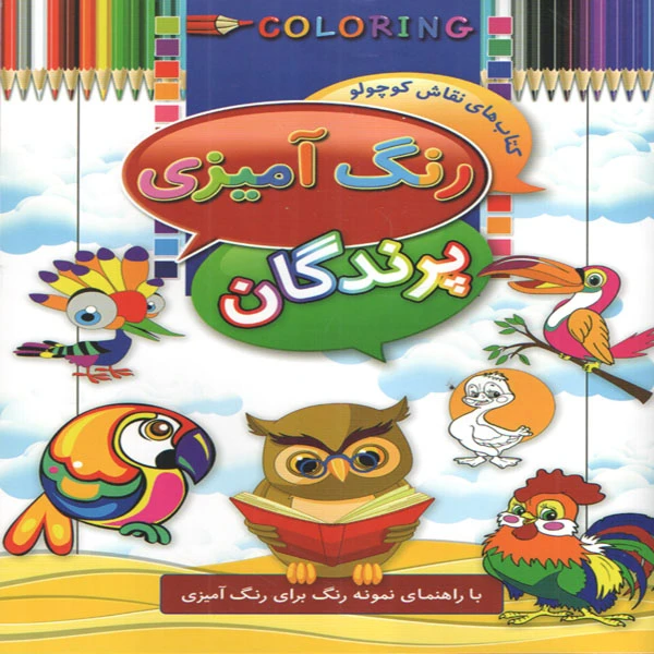 کتاب رنگ آمیزی پرندگان اثر ابوالفضل سلطانی انتشارات آتیسا 