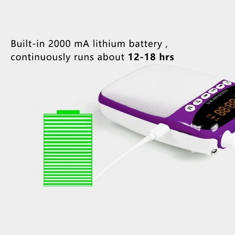 آمپلی فایر قابل حمل نوروی مدل S308-Wi-Les
