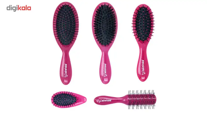 ست برس مو دلگان مدل P03-00001 بسته 5 عددی