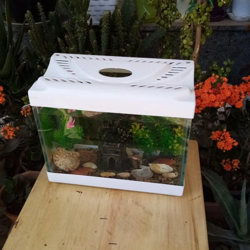 عکس شماره 12 : آکواریوم رومیزی مدل ma گنجایش 3 لیتر