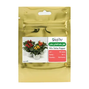 بذر فلفل سالسا گلدانی میکس بذرینو کد 01