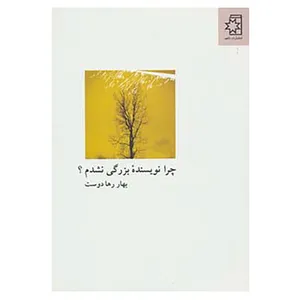 کتاب چرا نویسنده بزرگی نشدم؟ اثر بهار رهادوست