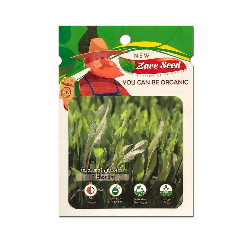 بذر کاسنی ( هندبه) پاسارگاد کشت زارع کد zs10