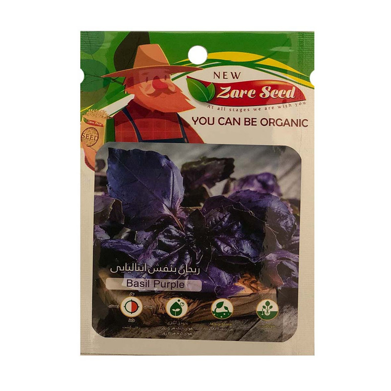 بذر ریحان بنفش ایتالیایی پاسارگاد کشت زارع کد zs3