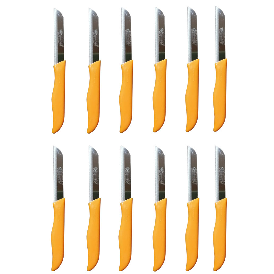 چاقو آشپزخانه  بسته12 عددی