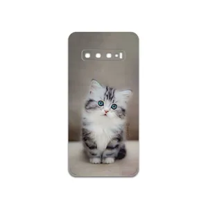 MAHOOT Cat-2 Cover Sticker for Samsung Galaxy S10