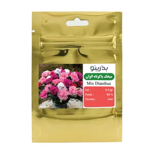 بذر گل میخک پاکوتاه الوان بذرینو کد 01