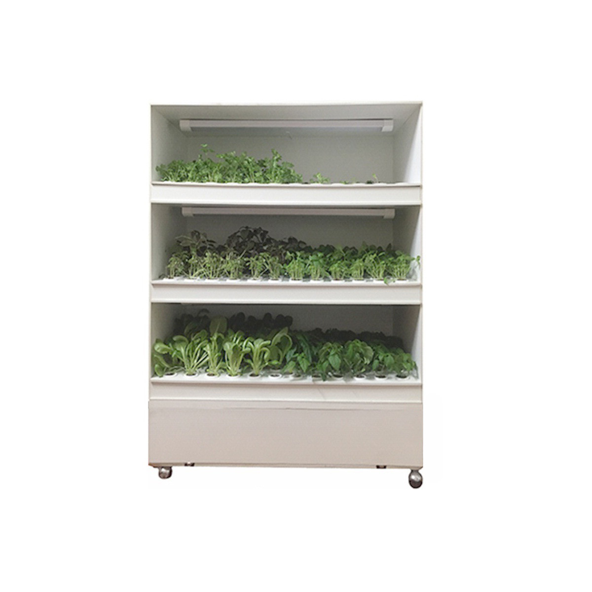 سیستم کشت طبقاتی مدل YL3