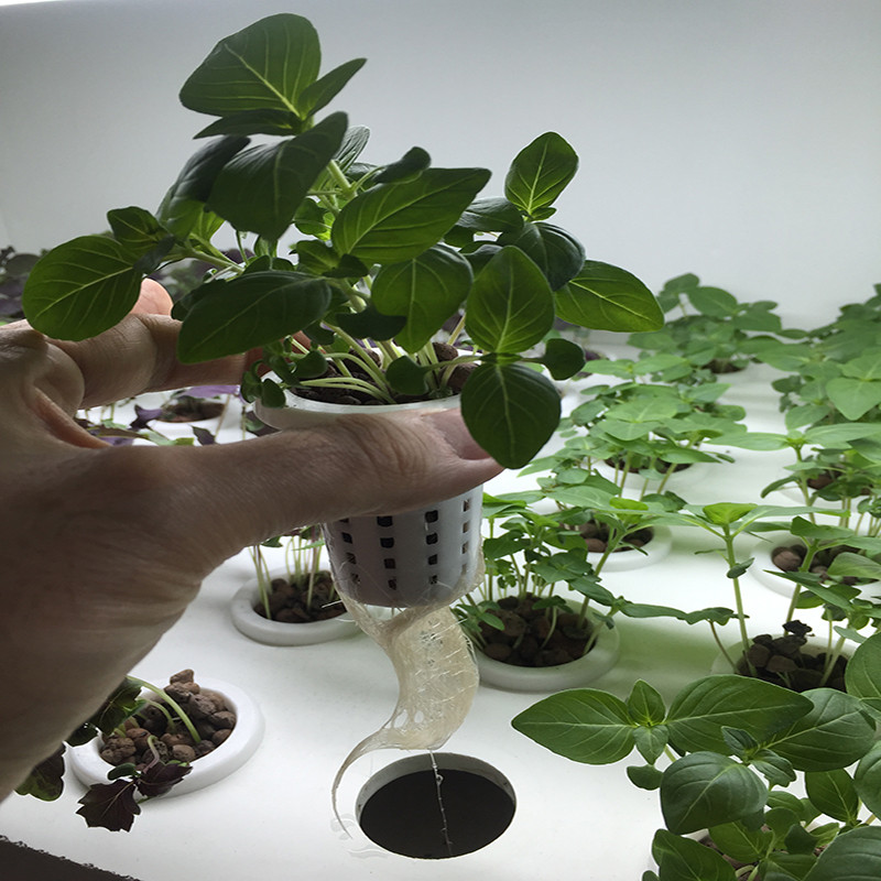 سیستم کشت طبقاتی مدل WL3