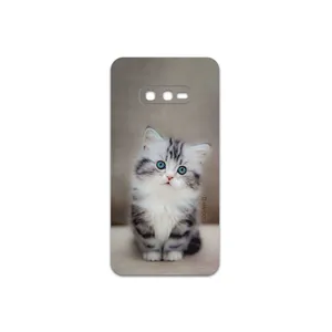 MAHOOT Cat-2 Cover Sticker for Samsung Galaxy S10e