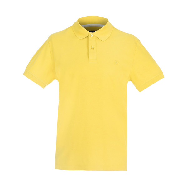 تی شرت مردانه سیاوود کد 7120415 رنگ زرد