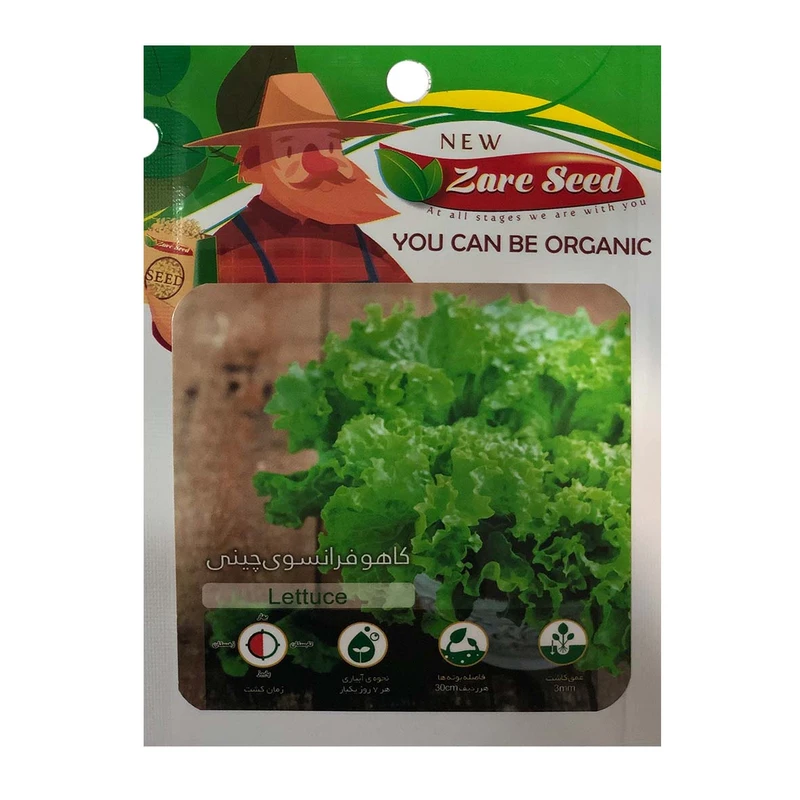 بذر کاهو فرانسوی چینی پاسارگاد کشت زارع کد zs65