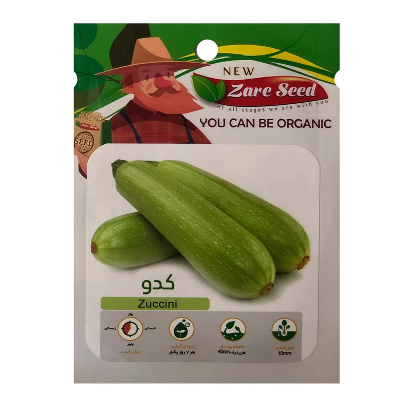 بذر کدو پاسارگاد کشت زارع کد zs78