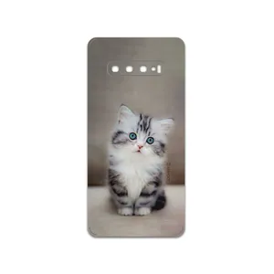 MAHOOT Cat-2 Cover Sticker for Samsung Galaxy S10 Plus