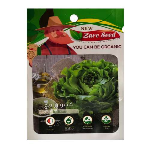 بذر کاهو رز پیچ پاسارگاد کشت زارع کد zs94