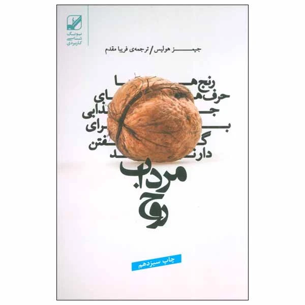 کتاب مرداب روح اثر جیمز هولیس انتشارات بنیاد فرهنگ زندگی