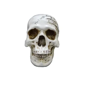 مجسمه طرح جمجمه مدل H 1