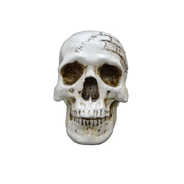 مجسمه طرح جمجمه مدل H 1 مجسمه طرح جمجمه مدل H 1