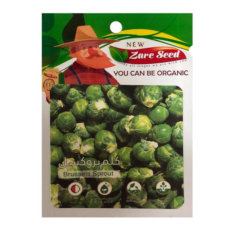 بذر کلم بروکسل پاسارگاد کشت زارع کد zs108 بذر کلم بروکسل پاسارگاد کشت زارع کد zs108