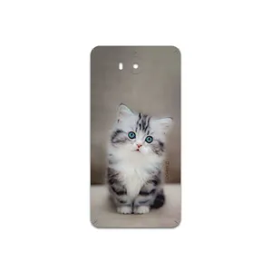 MAHOOT Cat-2 Cover Sticker for Huawei Y5 2017