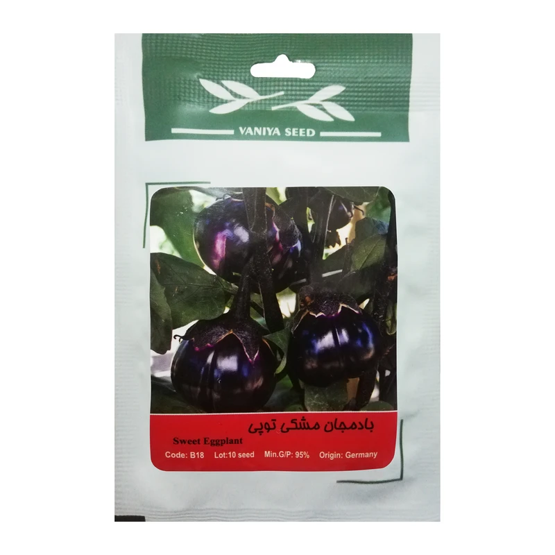  بذر بادمجان مشکی توپی وانیا سید مدل B18