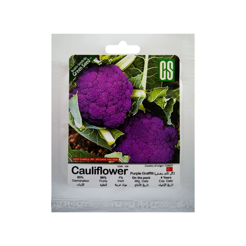 بذر گل کلم بنفش گرین سید مدل BZG168