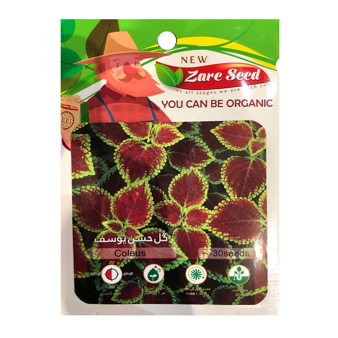 بذر گل حسن یوسف پاسارگاد کشت زارع کد zs129