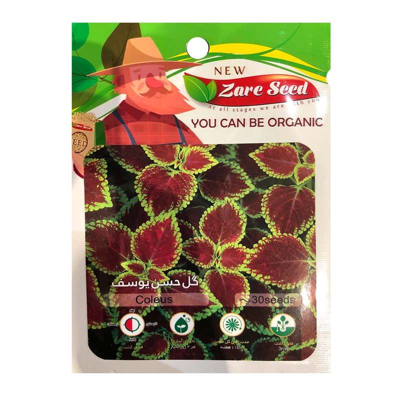 بذر گل حسن یوسف پاسارگاد کشت زارع کد zs129 بذر گل حسن یوسف پاسارگاد کشت زارع کد zs129