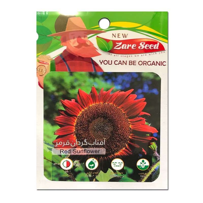بذر گل آفتاب گردان قرمز پاسارگاد کشت زارع کد zs133