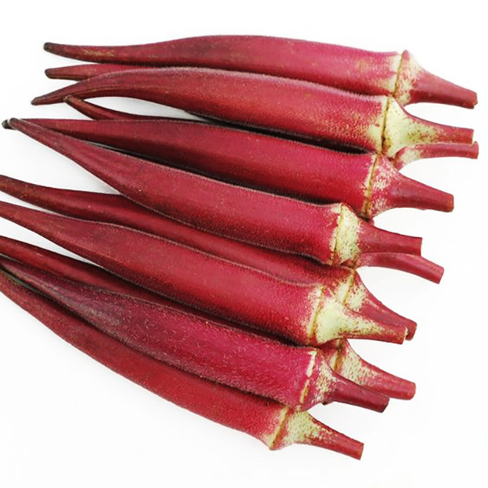 بذر بامیه قرمز وانیا سید مدل I47