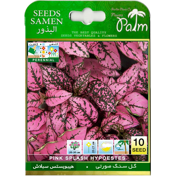 بذر گل سنگ صورتی پالم کد 10 بذر گل سنگ صورتی پالم کد 10