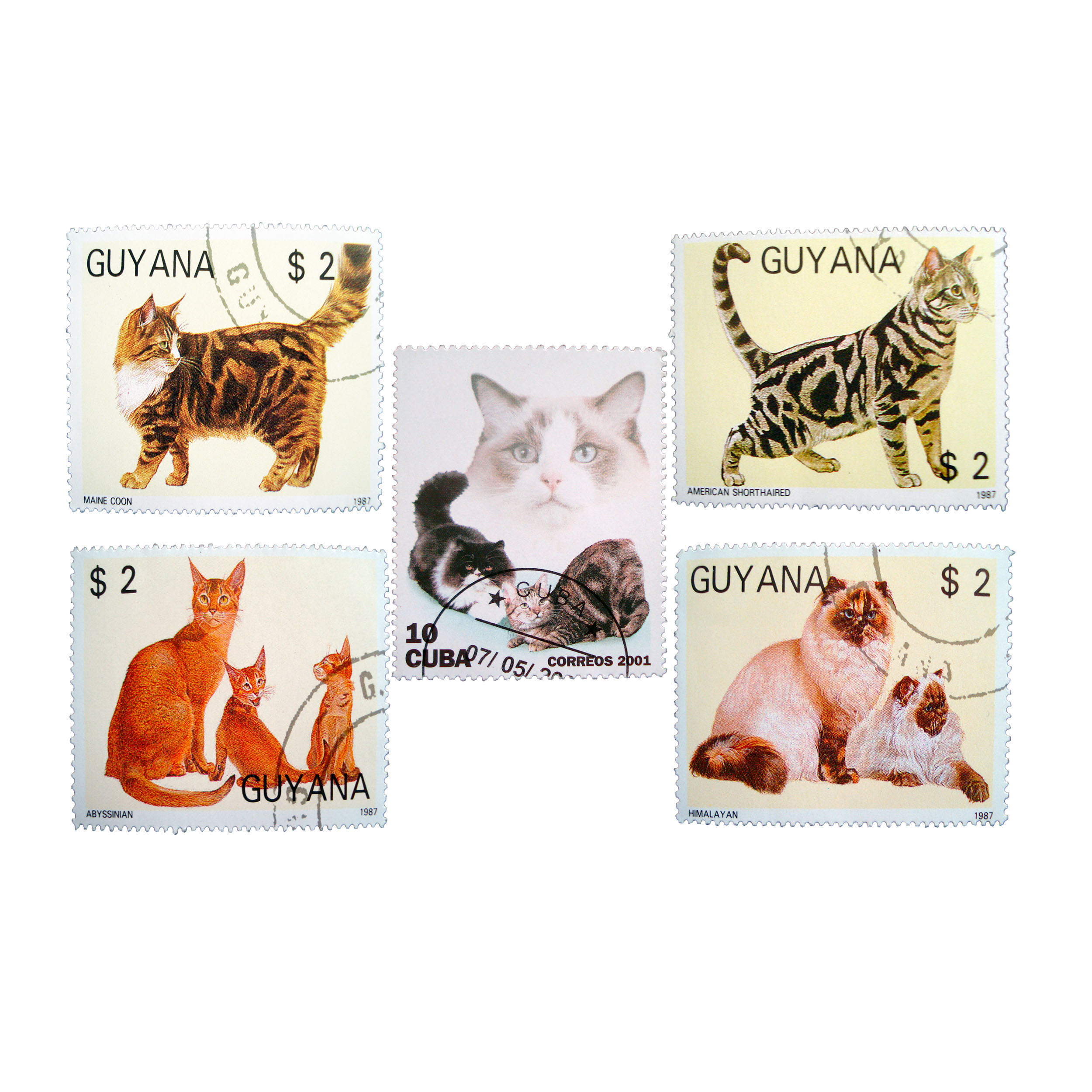 تمبر یادگاری مدل CATS کد C-52 مجموعه 5 عددی