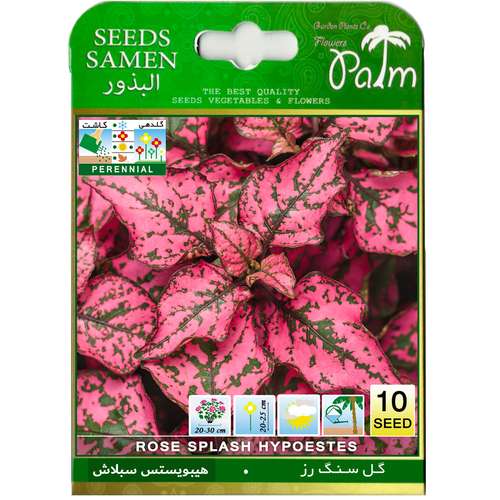 بذر گل سنگ صورتی رز پالم کد 10