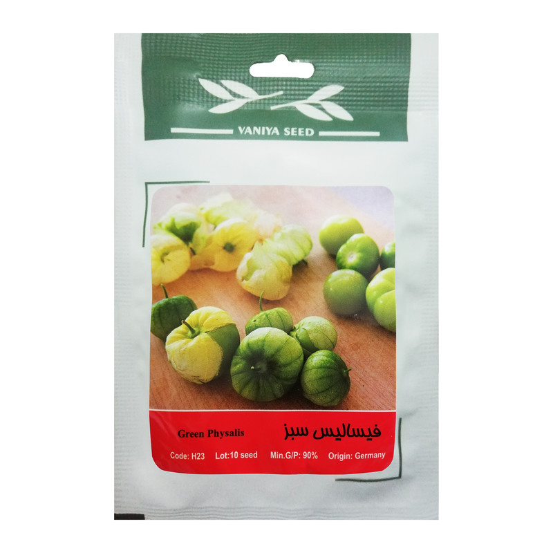 بذر فیسالیس سبز وانیا سید مدل H23 بذر فیسالیس سبز وانیا سید مدل H23