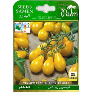 نقد و بررسی بذر گوجه چری زرد گلابی پالم کد 25 توسط خریداران