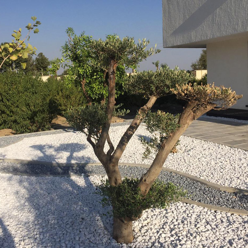 سنگ تزیینی پروفسور مدل W305 وزن 5 کیلوگرم