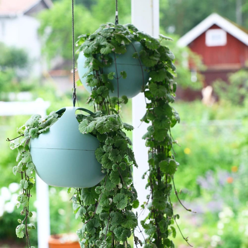 گلدان مدل الهوم  بسته سه عددی