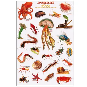 برچسب مدل بی مهرگان کد 555