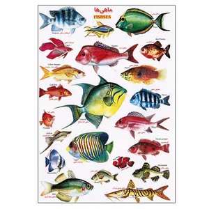 برچسب مدل ماهی‌ها کد 32