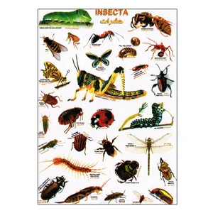 برچسب مدل حشرات کد 1113