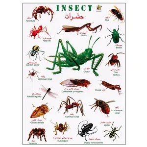 برچسب مدل حشرات کد 774