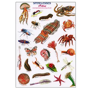 برچسب مدل بی مهرگان کد 554