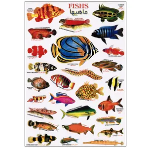برچسب مدل ماهی‌ها کد 1118