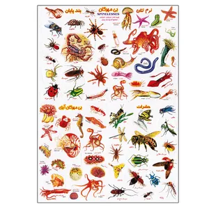 برچسب مدل بی مهرگان کد 44